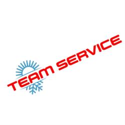 Team Service