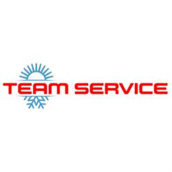 Riello Team Service