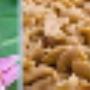 Allergologia