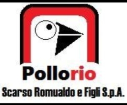 Scarso Romualdo & Figli S.p.a.