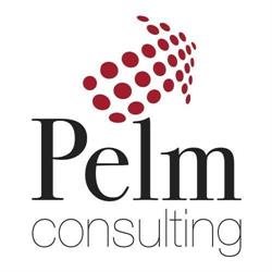 Pelm Consulting S.n.c.