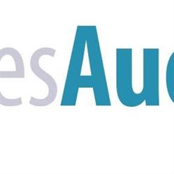 Res Audit SRL