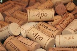 Azienda Agricola Poggio Bertaio Di Ciufoli E Lucci