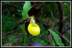 Bionoise Ingegneria Ambientale