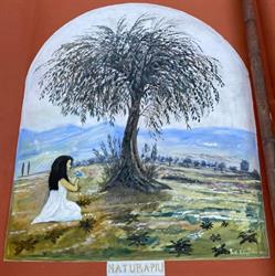 Natura Piu' Di Romani Giovanna