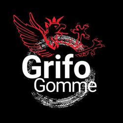 Grifo Gomme sas - Deruta