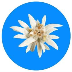 Pensione Edelweiss