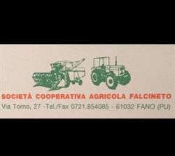 Cooperativa Agricola Falcineto A.r.l.