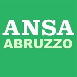 Agenzia Ansa