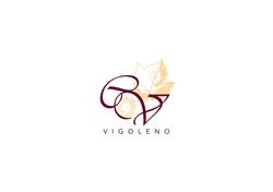 VISCONTI MASSIMO e C.
