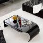 SHELL Calligaris