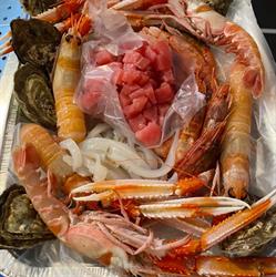 Pescheria Polo Nord Di Filippo Biasci