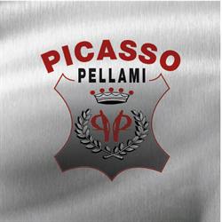 Picasso Pellami S.r.l.
