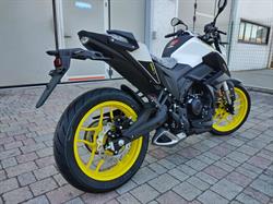 Motori e Ciurli