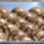 Pasticceria Corso Roma