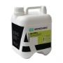 Arreghini Paints
