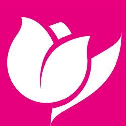 Il Tulipano S.N.C. Di Il Tulipano S.R.L.