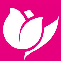 Il Tulipano S.N.C. Di Il Tulipano S.R.L.