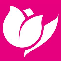 Il Tulipano S.N.C. Di Il Tulipano S.R.L.