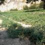 Agriturismo Molino della Contessa