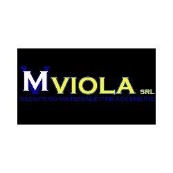 Viola