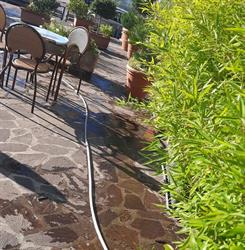 Caffe' Mediterraneo SRL