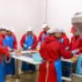 Gallery Professionale