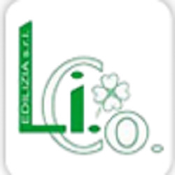 Li.Co Edilizia