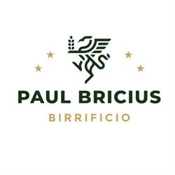 Paul - Bricius & Company Srl