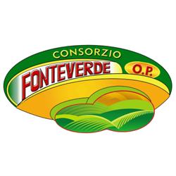 Fonteverde