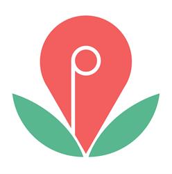 Il Papavero