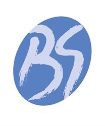 Biesse Sistemi S.r.l.