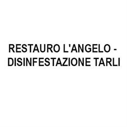 Restauro L'Angelo - Disinfestazione Tarli