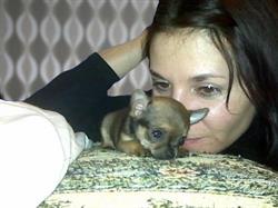 Allevamento Emildog