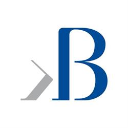Blulink S.r.l.