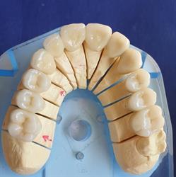 Am Dental Di Monteleone E. & Arfini F. Snc