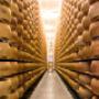 Tante Forme di Parmiggiano