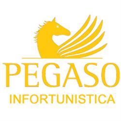 Studio Pegaso Infortunistica