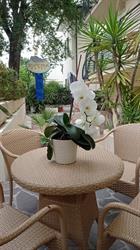 Hotel Esperia SPA