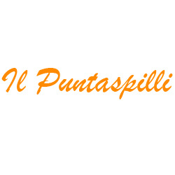 Il Puntaspilli