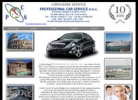Professional Car Service