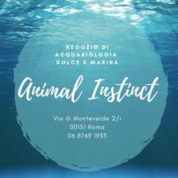 Animal Instinct