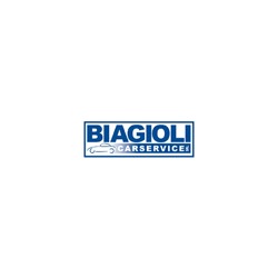 Biagioli Carservice
