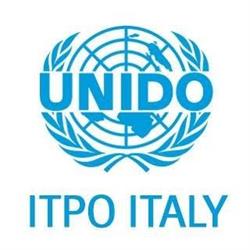 Organizzazione Nazioni Unite Per Sviluppo Industriale Unido