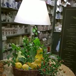 Il Campo Di Grano