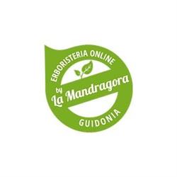 La Mandragora
