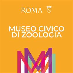 Museo Civico Di Zoologia