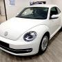 Beetle