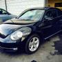 Beetle