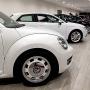 Beetle